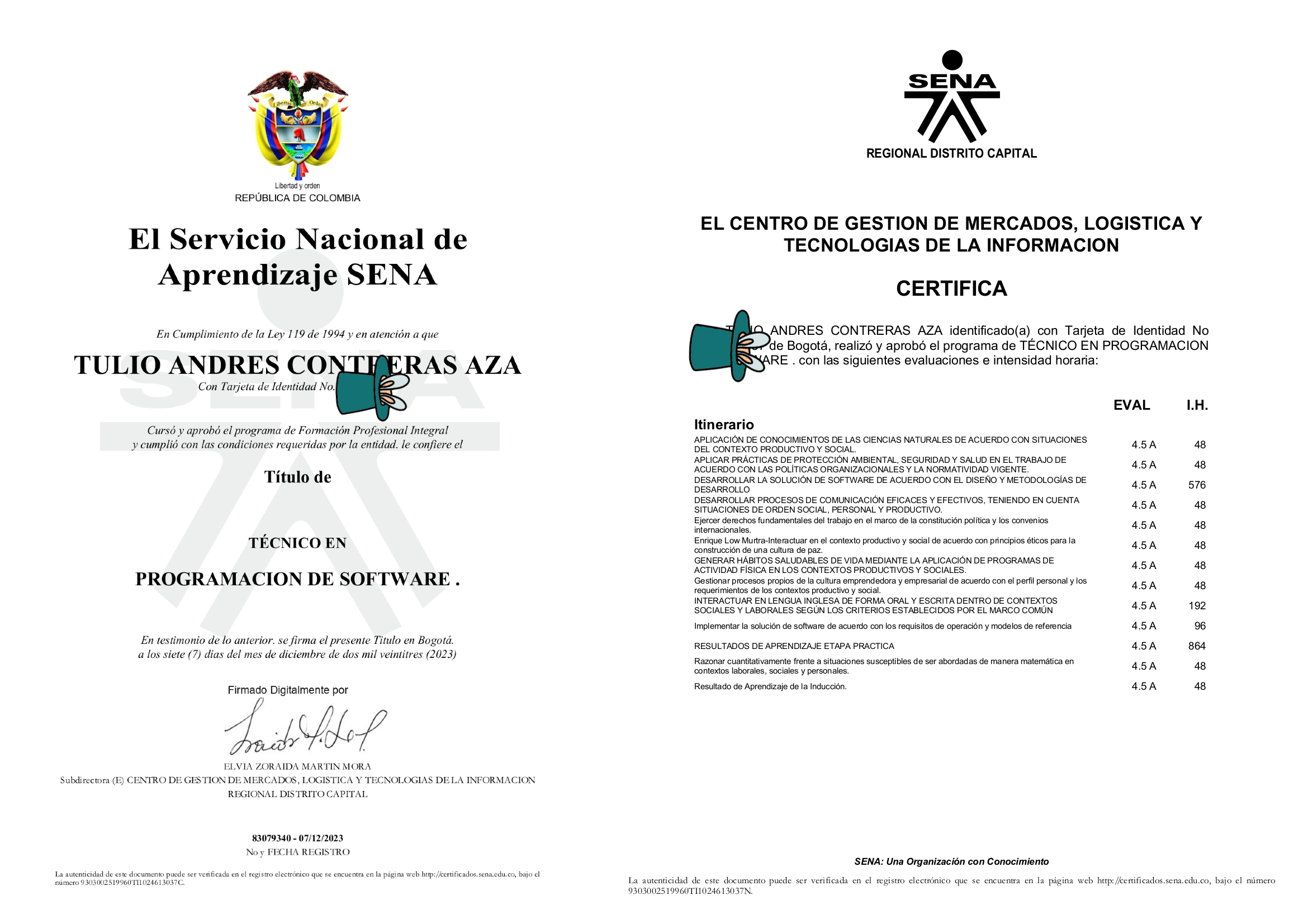 Técnico en Programación de Software
